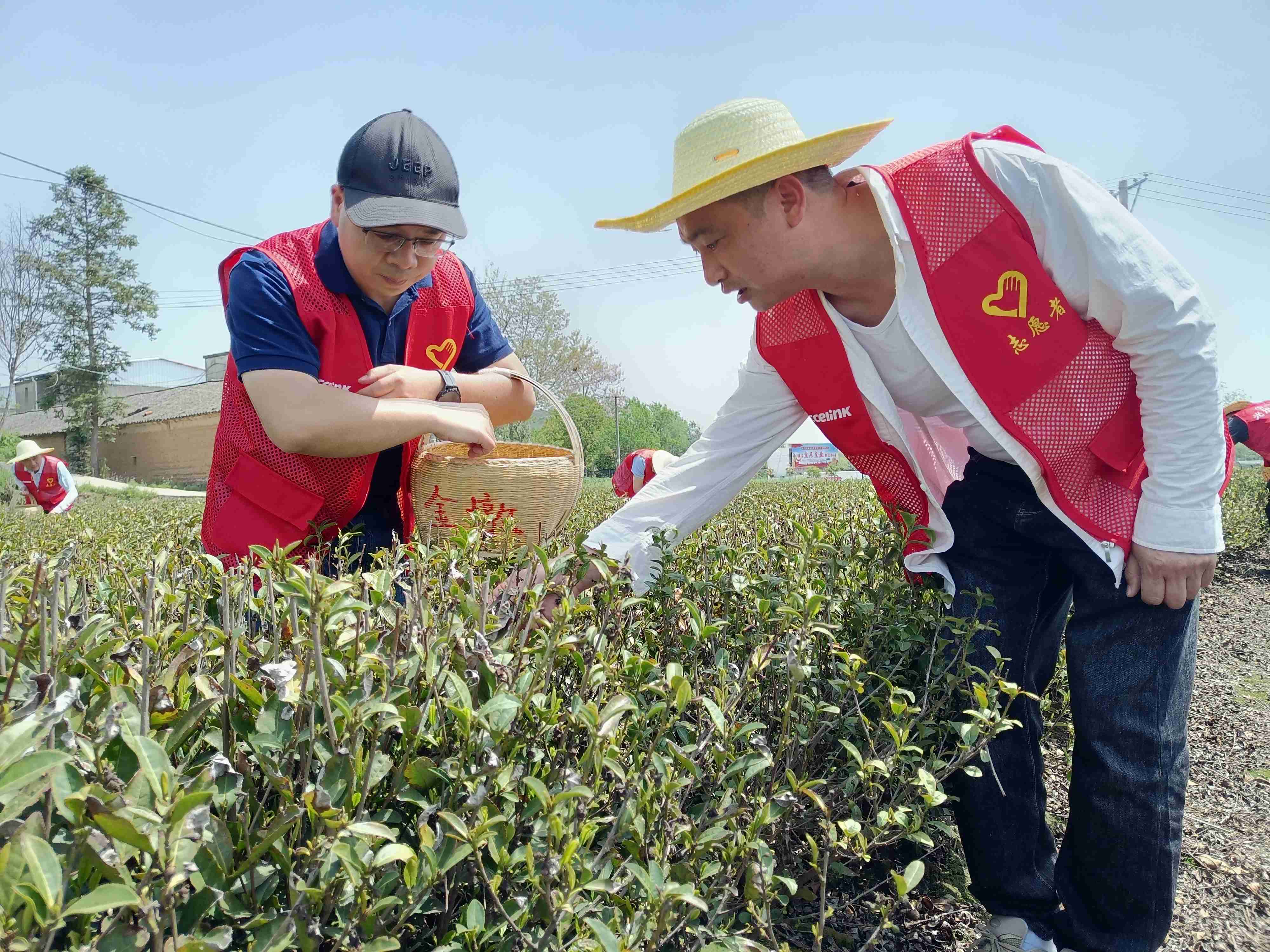 银娱优越会(中国)股份有限公司官网